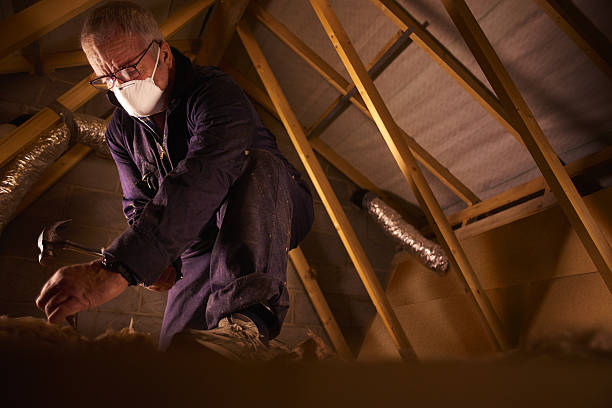 Best Energy Efficiency Insulation in Columbia, MO