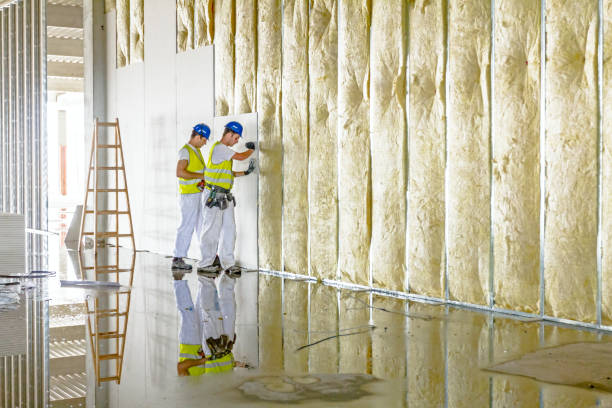 Best Cellulose Insulation in Columbia, MO